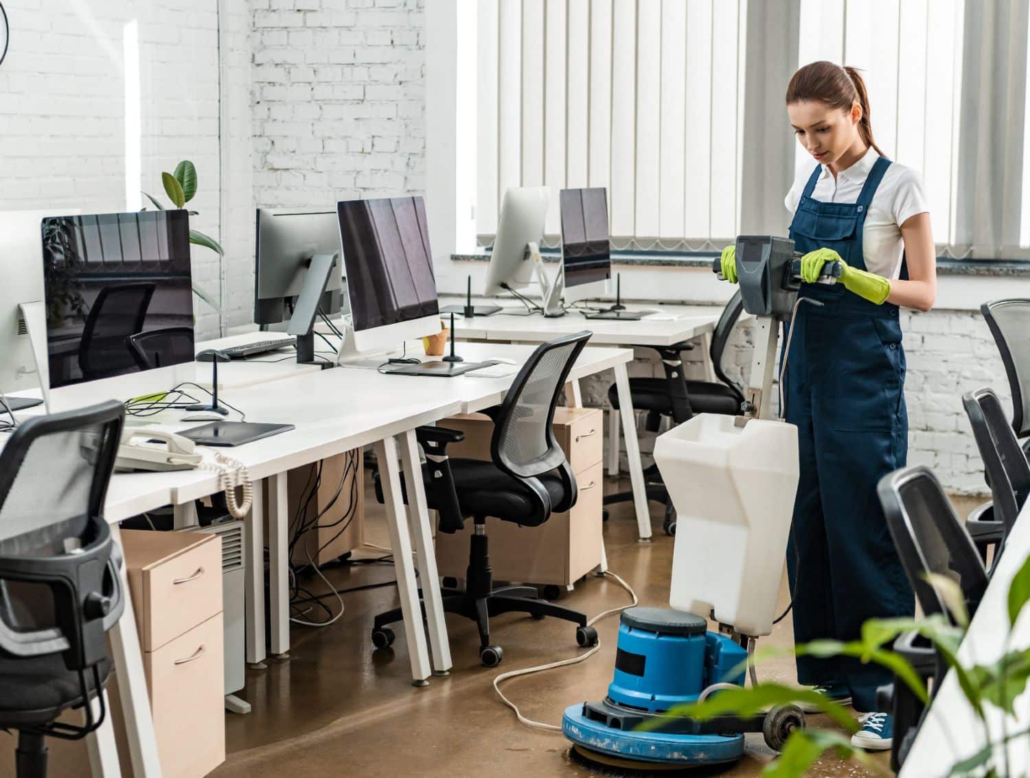 professional company cleaner